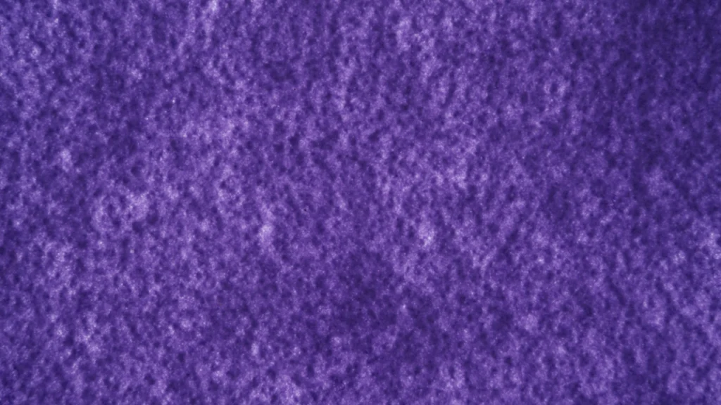 Yeni Proje (15)